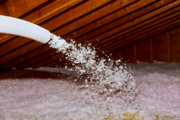 Best Geographic-Specific Insulation Services in Fort Stockton, TX