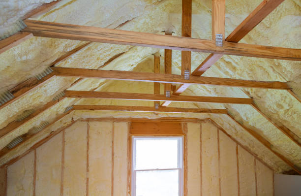 Professional Insulation Contractor in Fort Stockton, TX