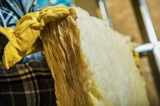 Best Insulation Maintenance and Repair in Fort Stockton, TX