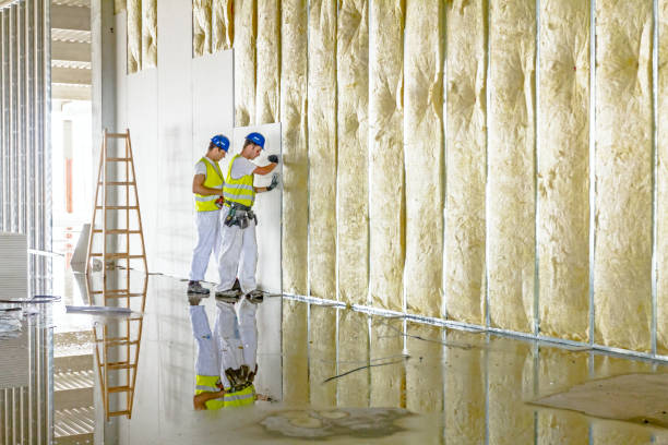 Best Residential Insulation in Fort Stockton, TX